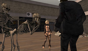 Strange goings on in Untamed Zombies' previous location.